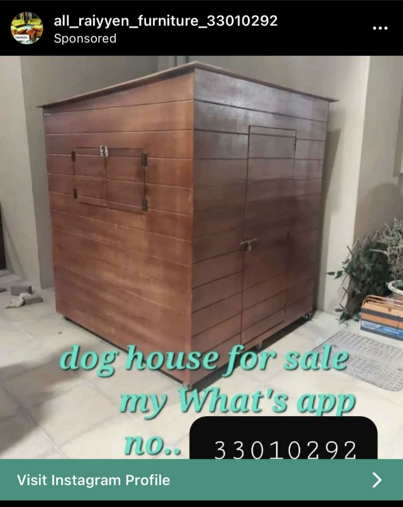 dog house - 2