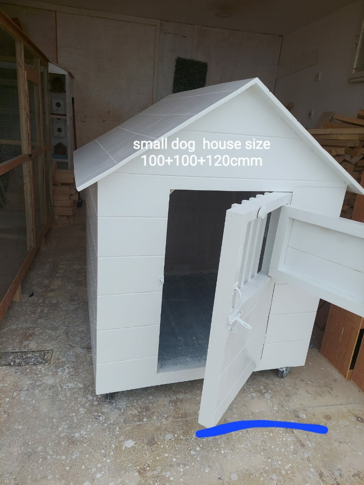 dog and cat house - 10
