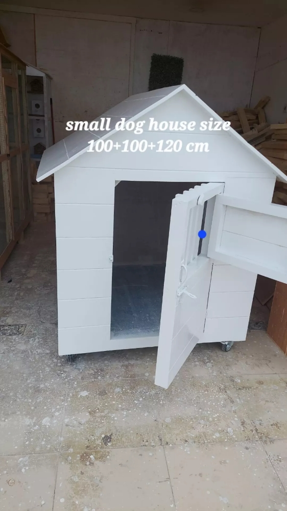 dog and cat house - 7