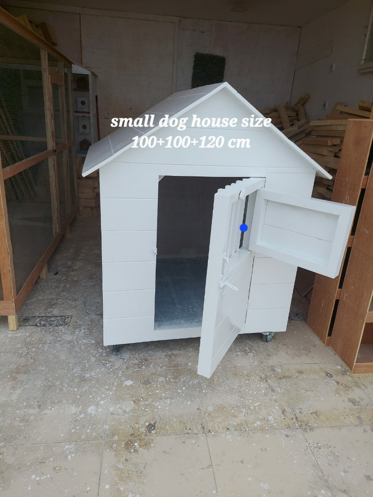 dog and cat house - 9