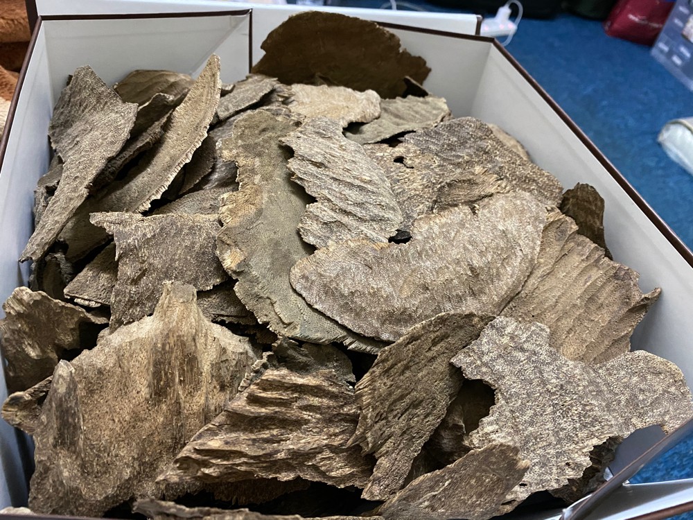 Cheap Oud(Agarwood) - 4