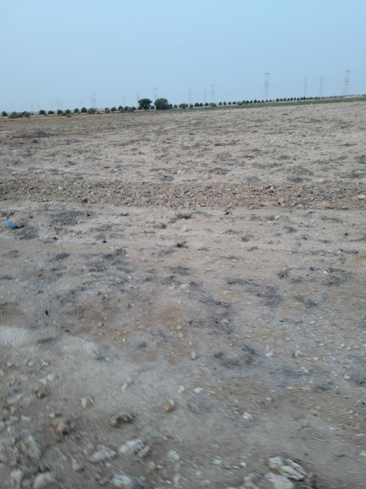 مزارع للايجار - 3