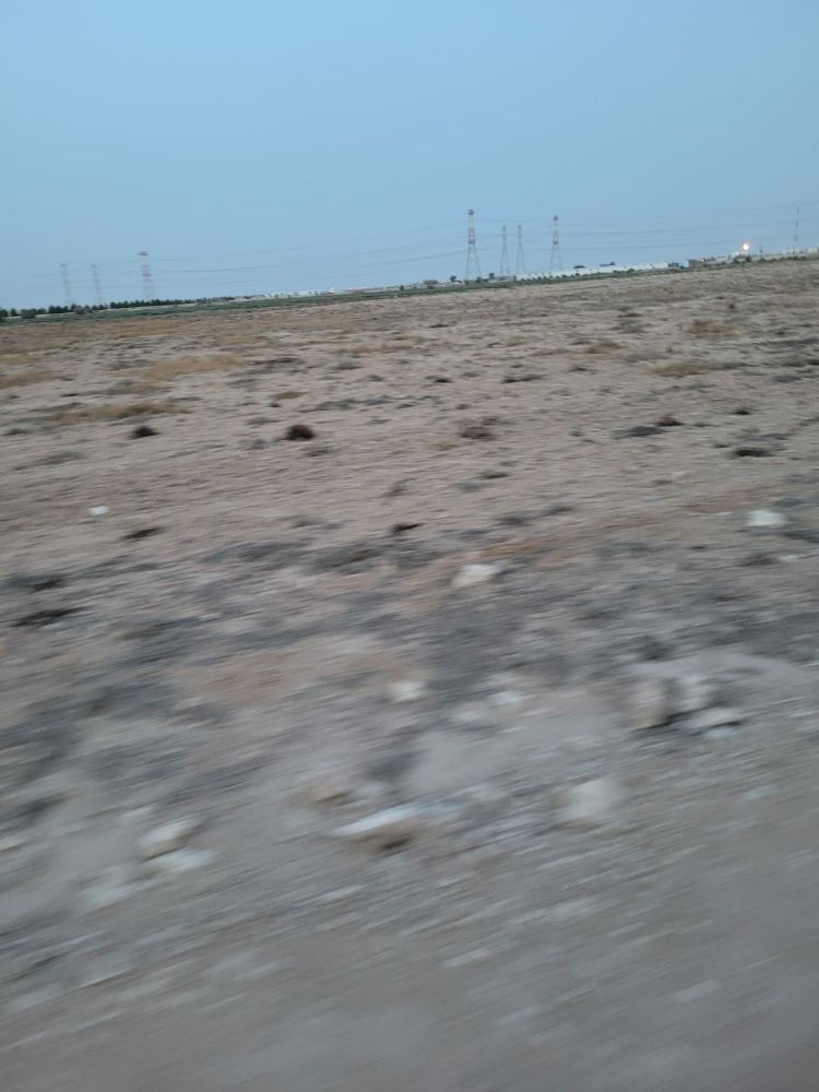 مزارع للايجار - 4