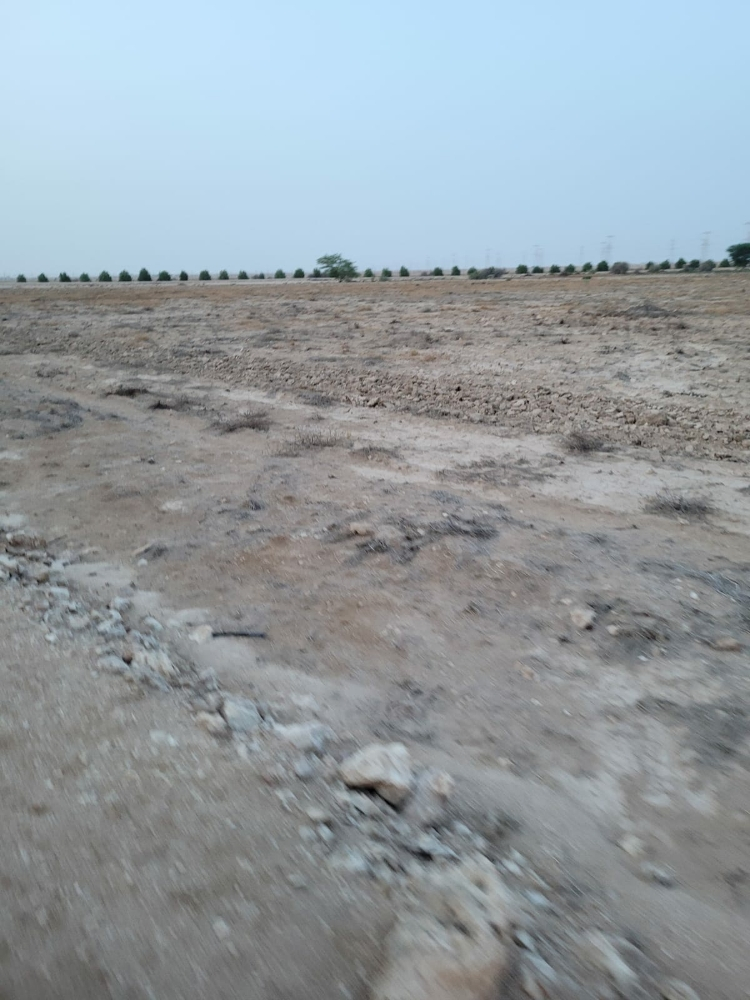 مزارع للايجار - 2