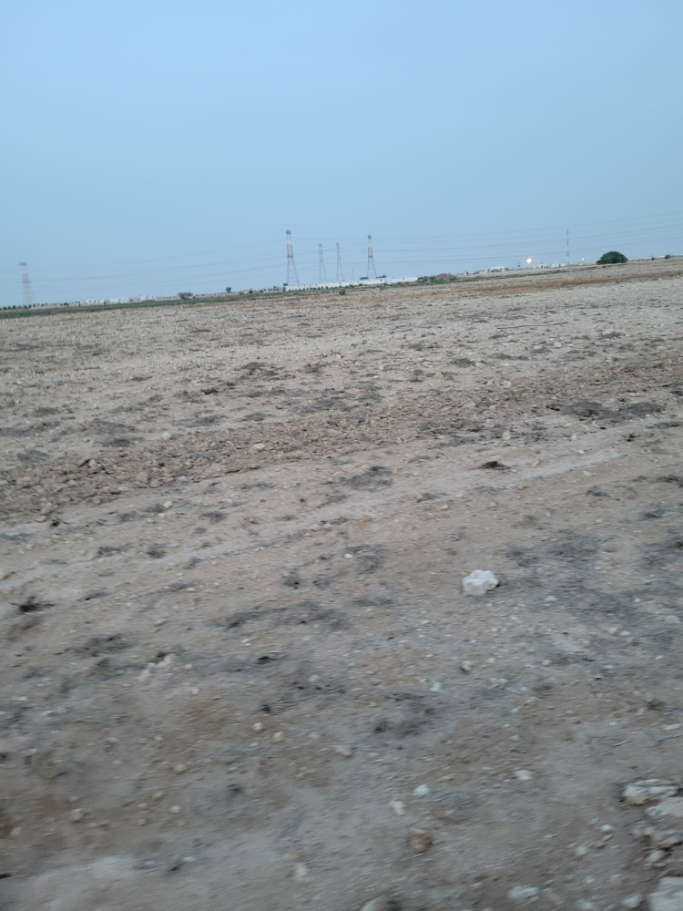 مزارع للايجار - 1