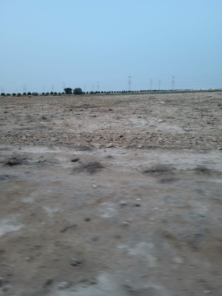 مزارع للايجار - 5