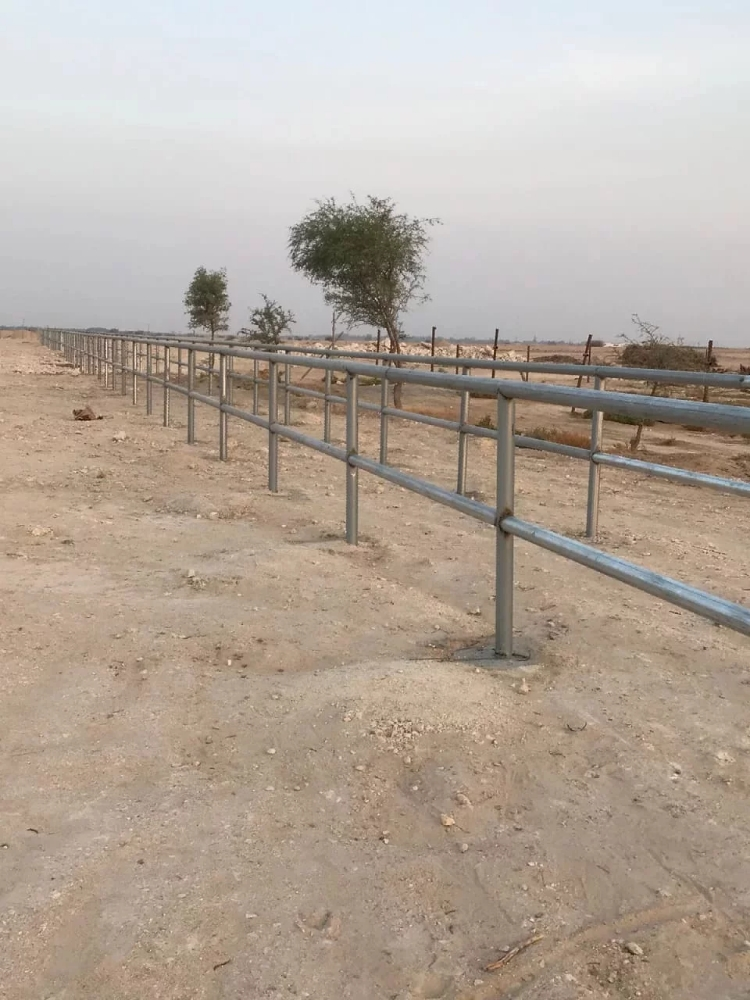 Camel fence - 1