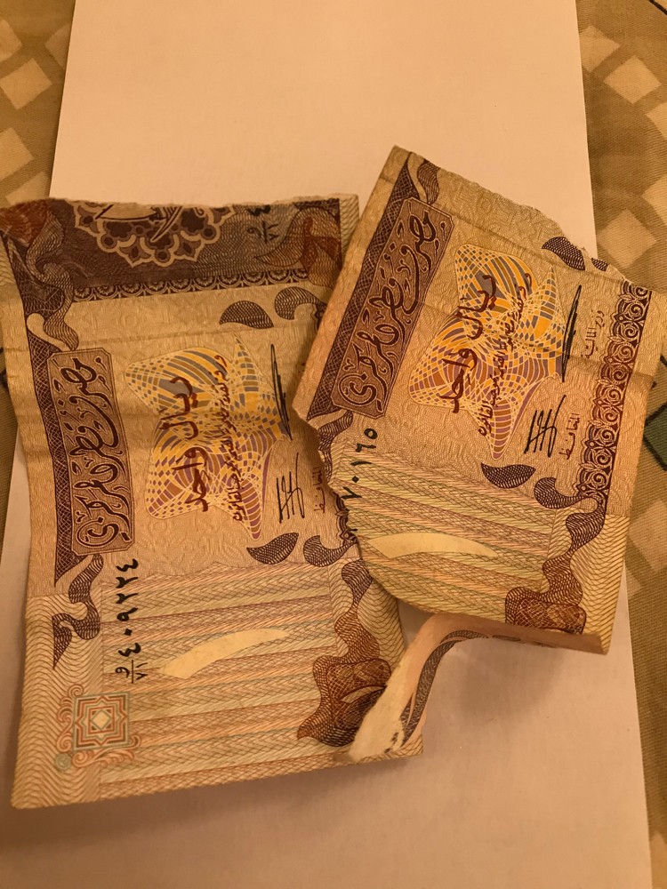 للبيع - 5