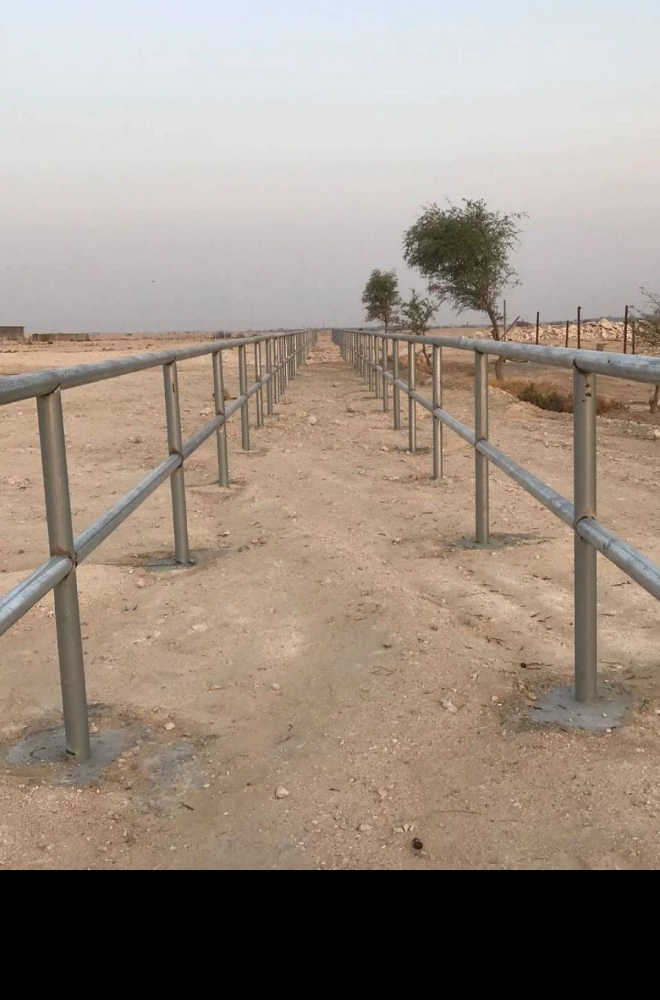 Camel fence - 2