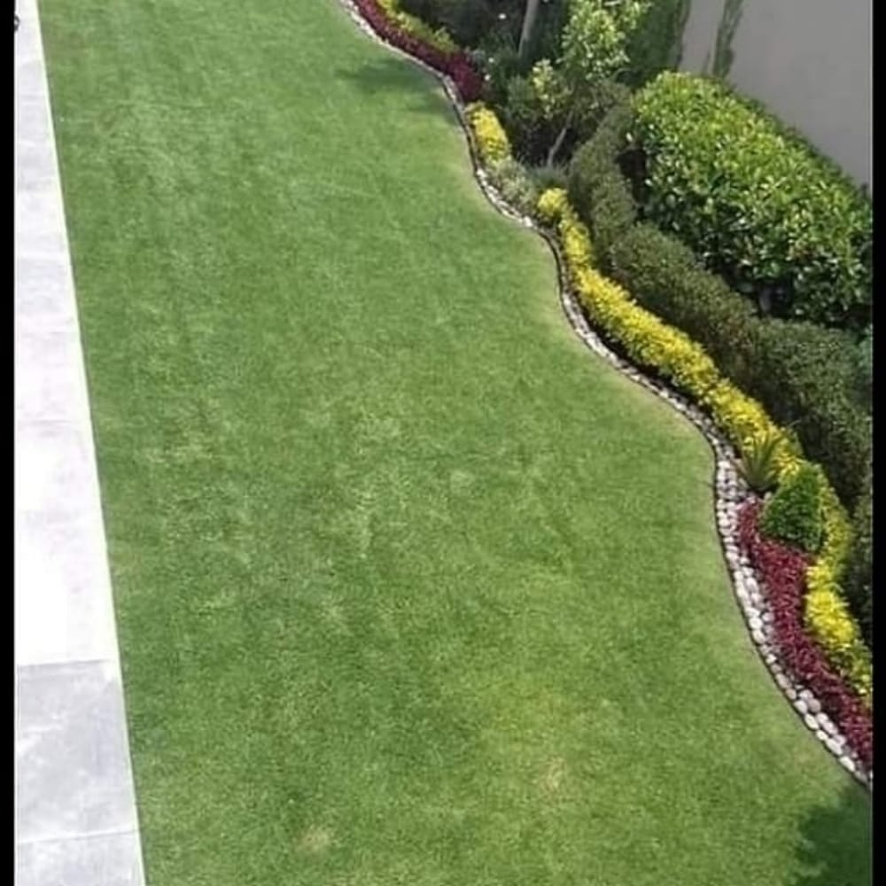 زراعة وديكوار - 3