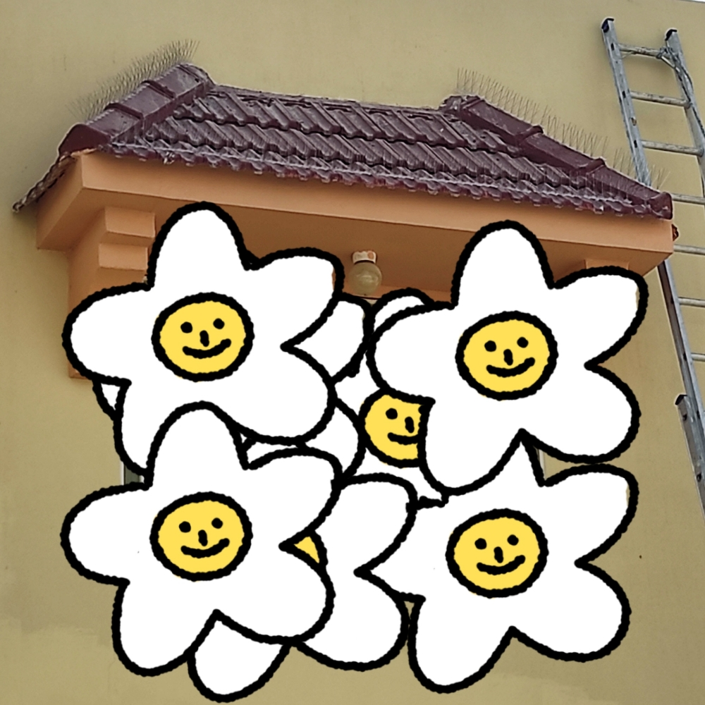 0bird repellent - 3