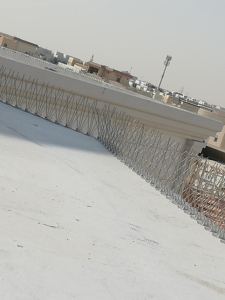 ‎‎‎‎‎‎‎طارد الحمام والطيور نهائيا - 9
