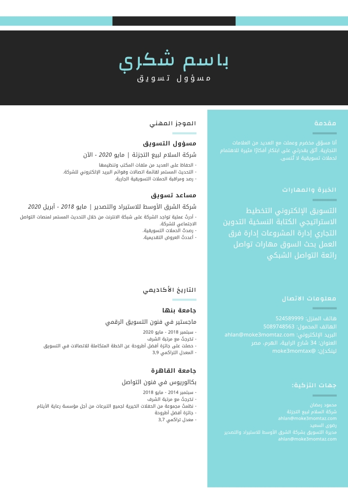 تصميم السيرة الذاتية - 6