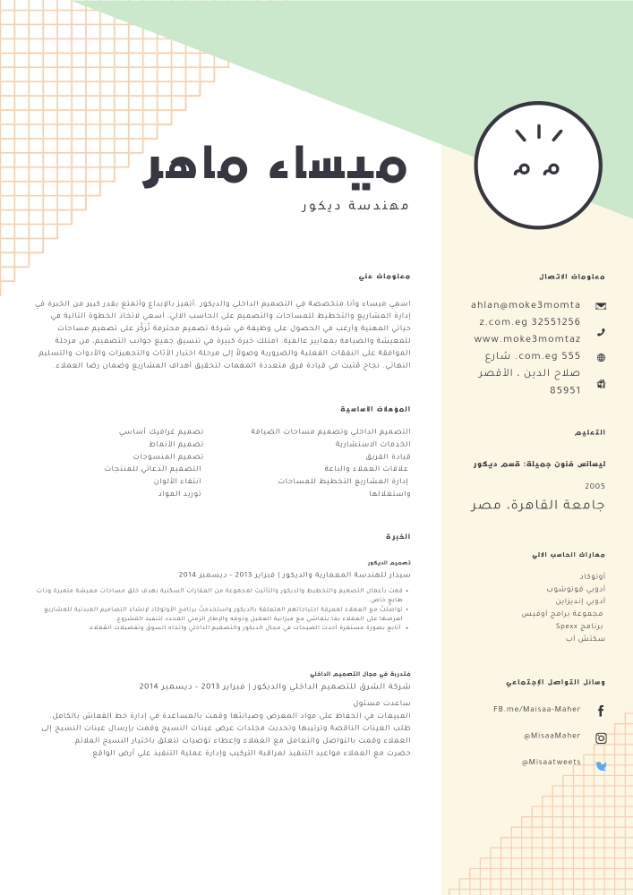 تصميم السيرة الذاتية - 13
