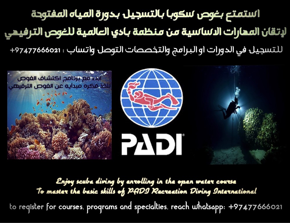 padi  - 1