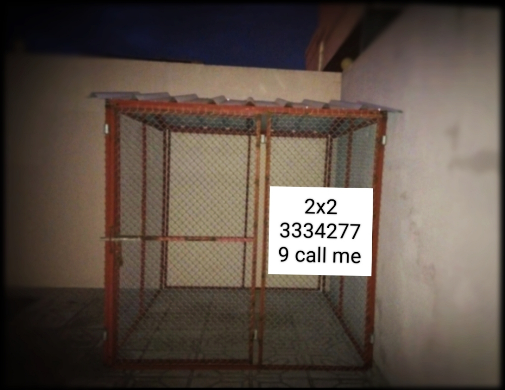 قفص الحمام - 4