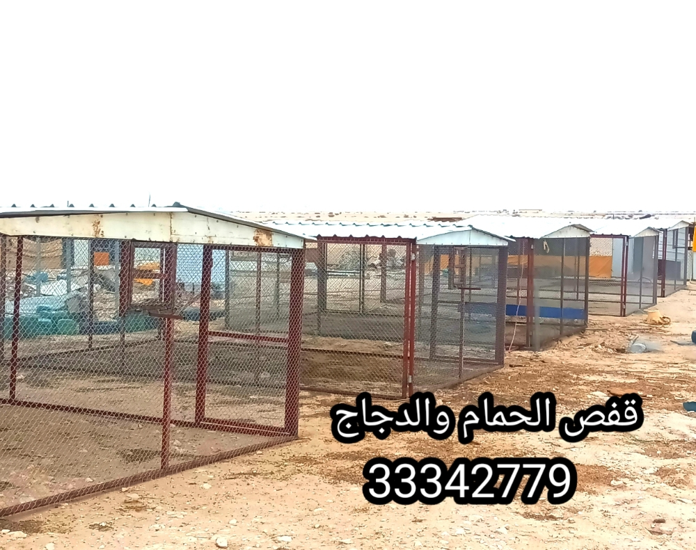 قفص الحمام - 1