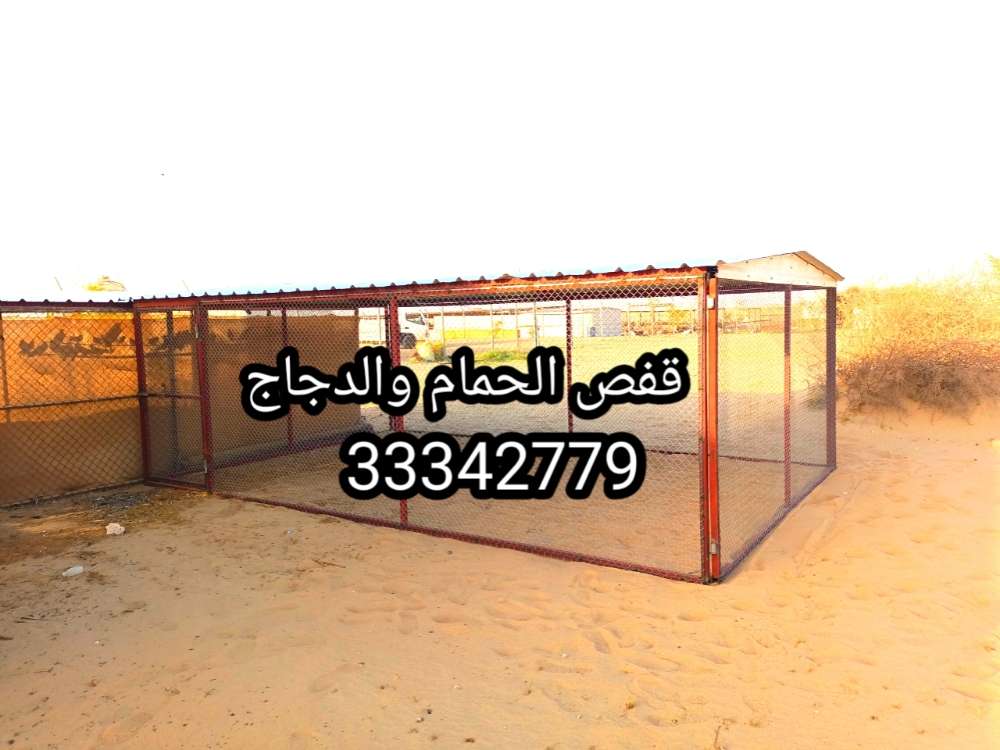 قفص الحمام - 2