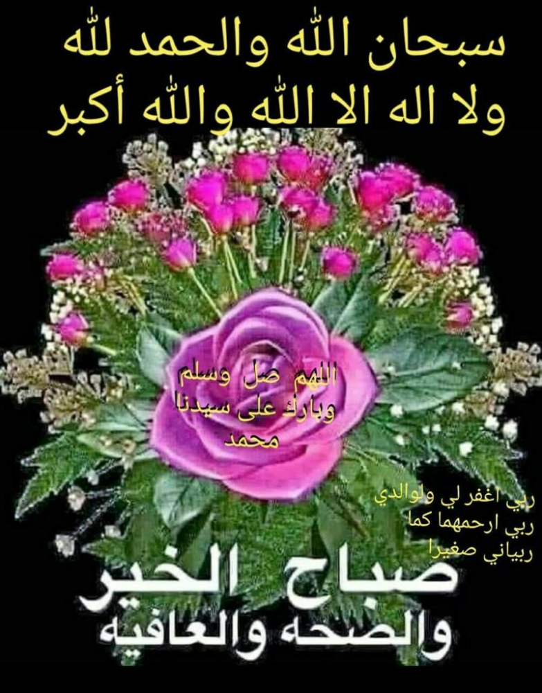 مطلوب شريك لصيانة حدايق - 1