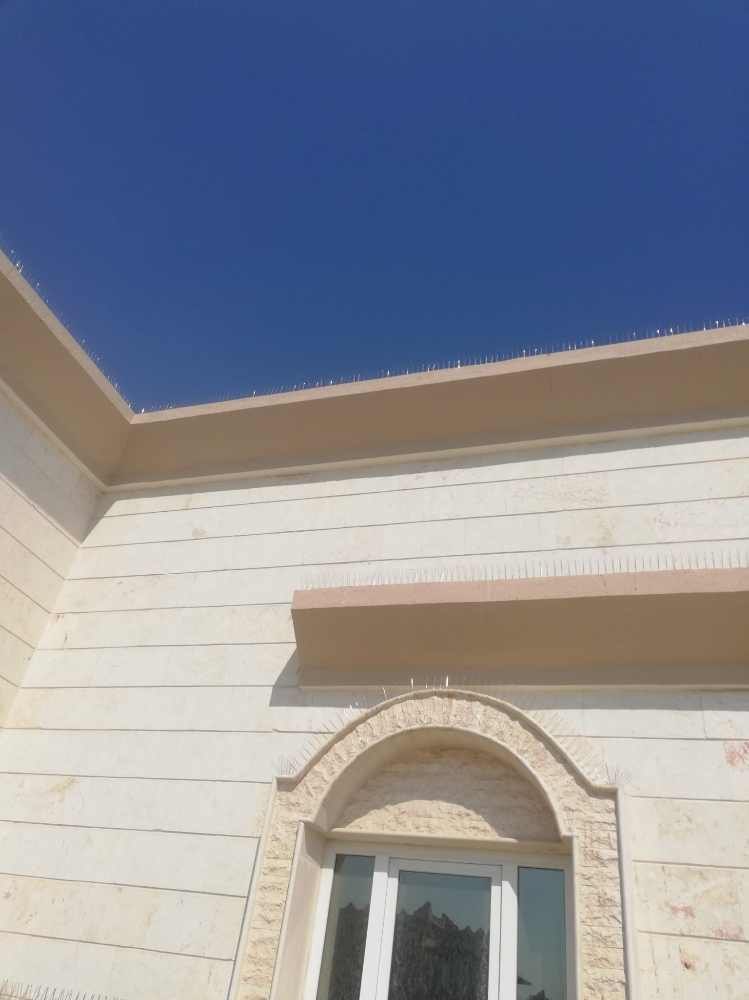مانع الطيور والحمام55270957 - 14