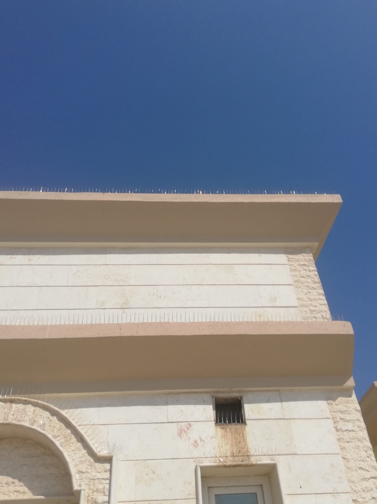 مانع الطيور والحمام55270957 - 13