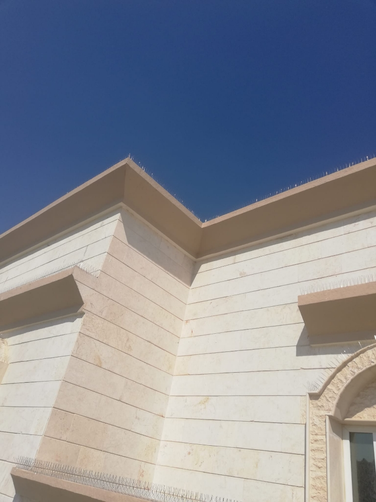 مانع الطيور والحمام55270957 - 8