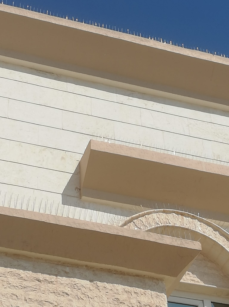 مانع الطيور والحمام55270957 - 9