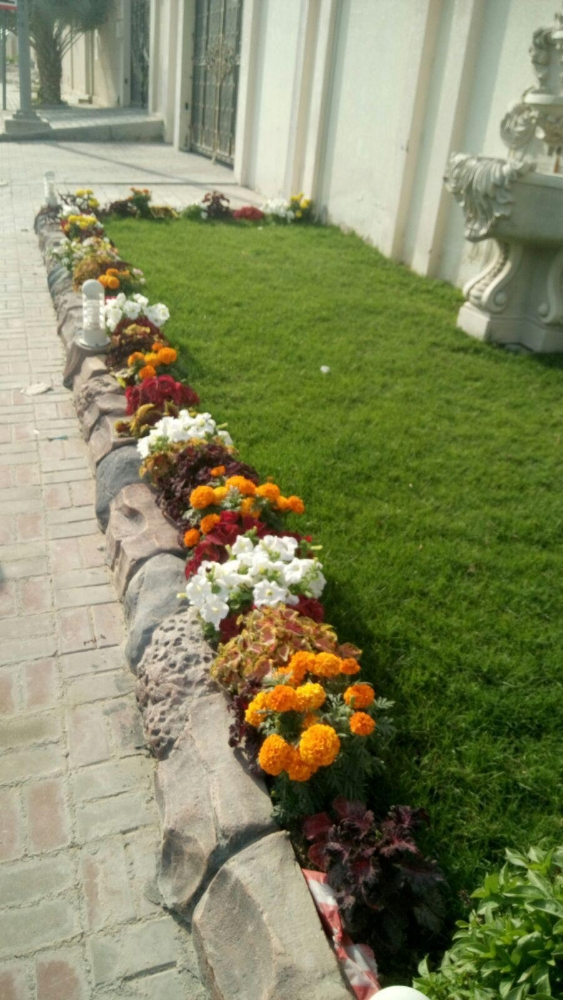 حدائق وديكورات - 4