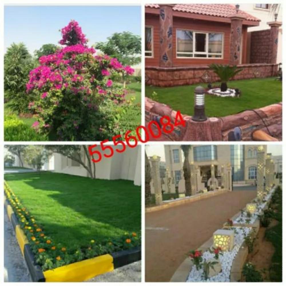 مهندس زراعي متخصص في الزراعه - 1