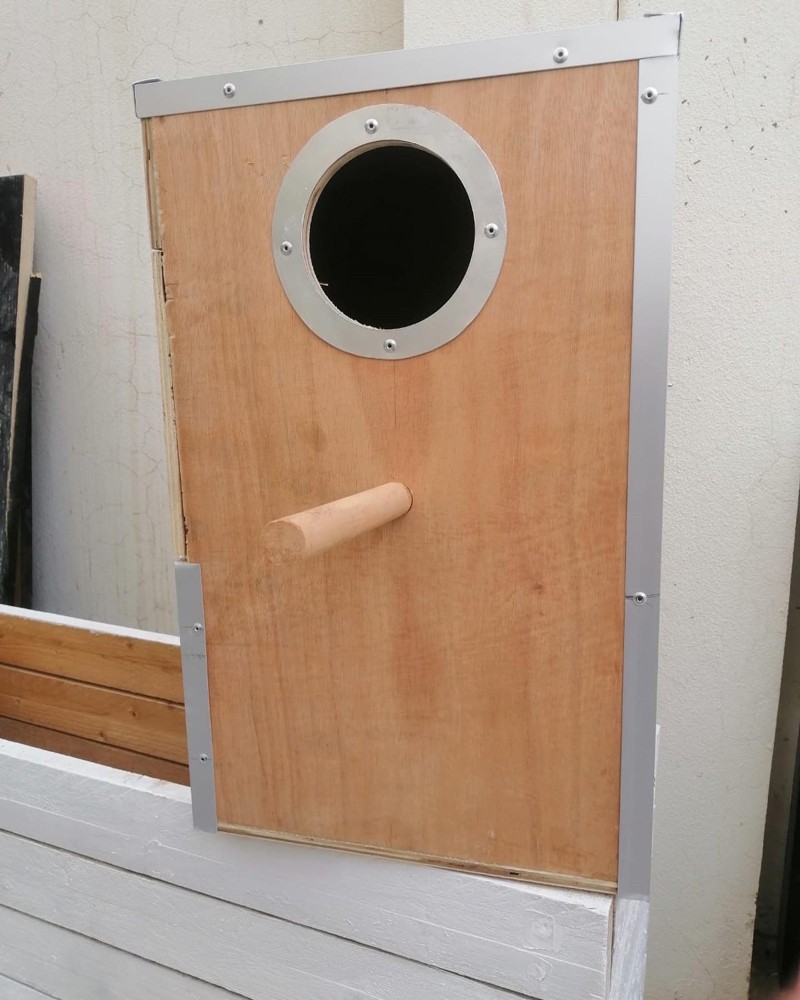 parrot breeding box  - 2