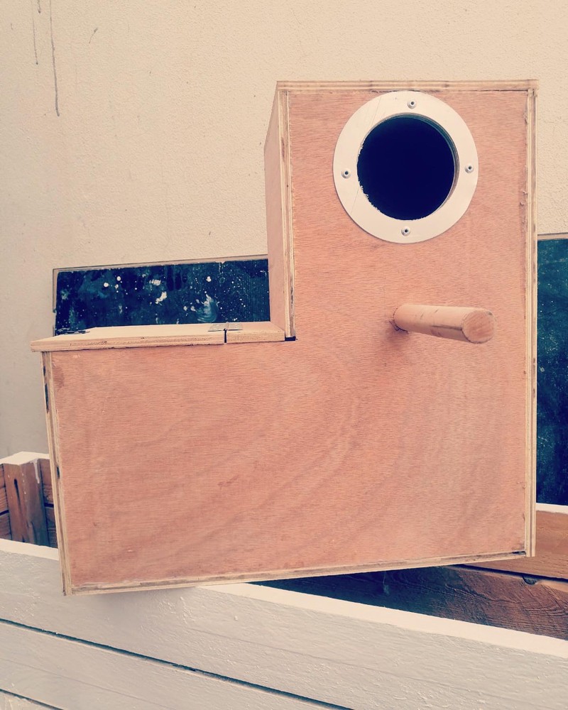 parrot breeding box  - 3