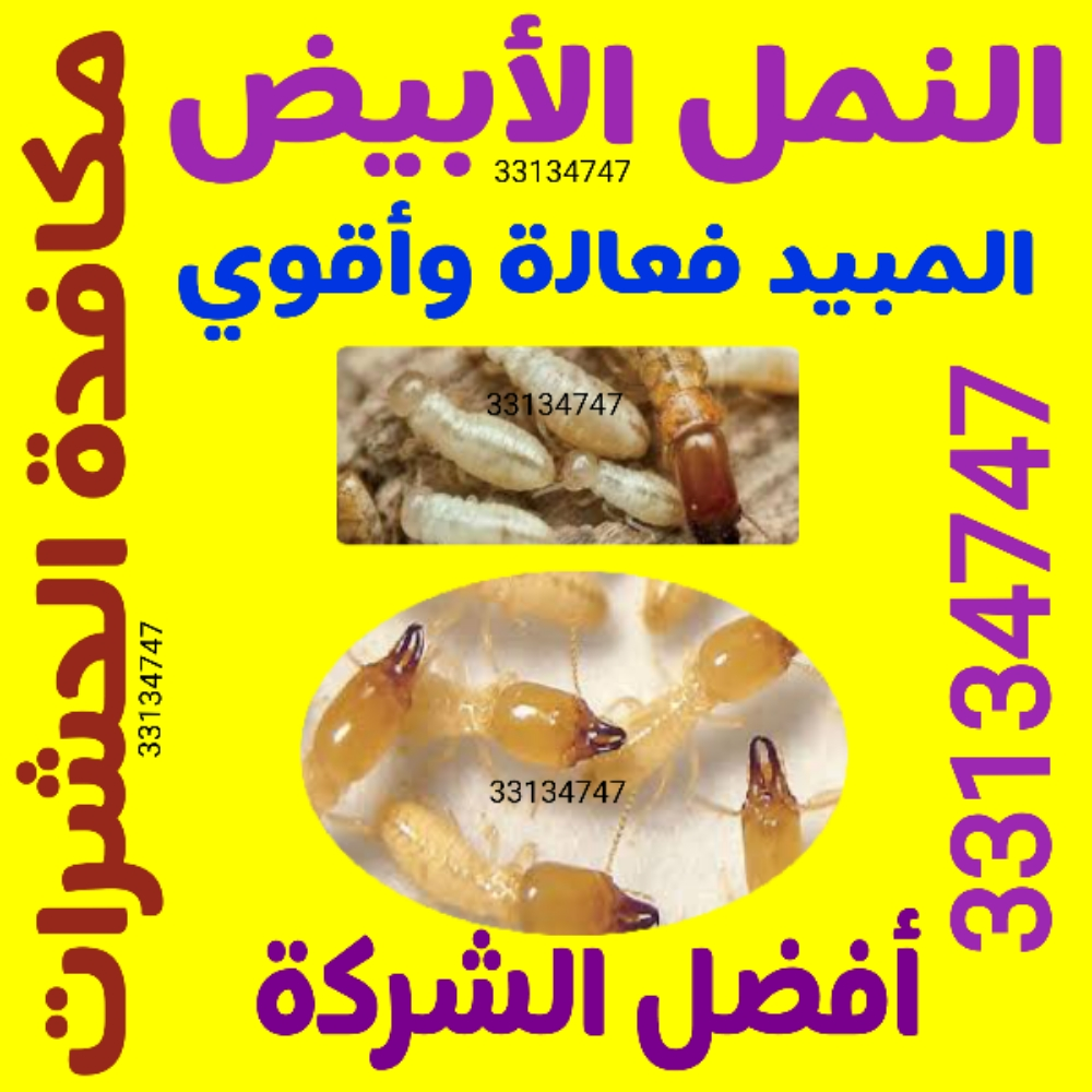anti termite - 1