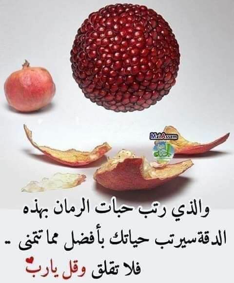 رياضيات خبره اكثرمن 25عاما - 4