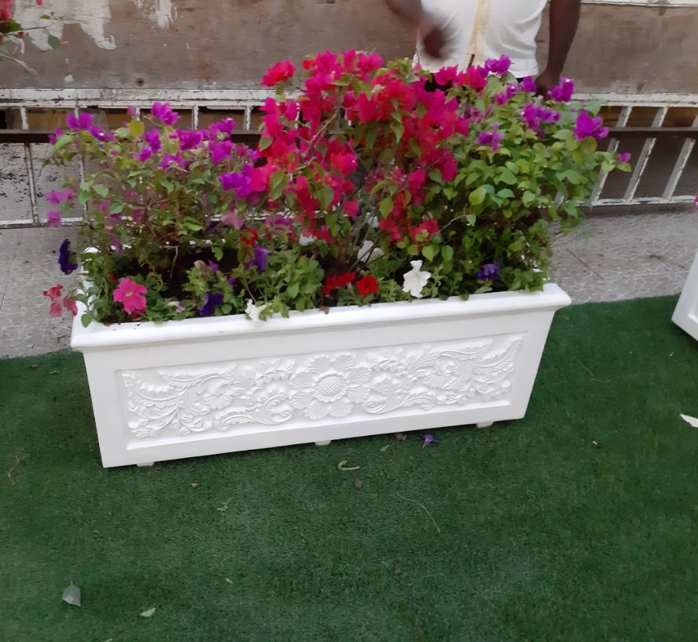 ابو سعيد - 6