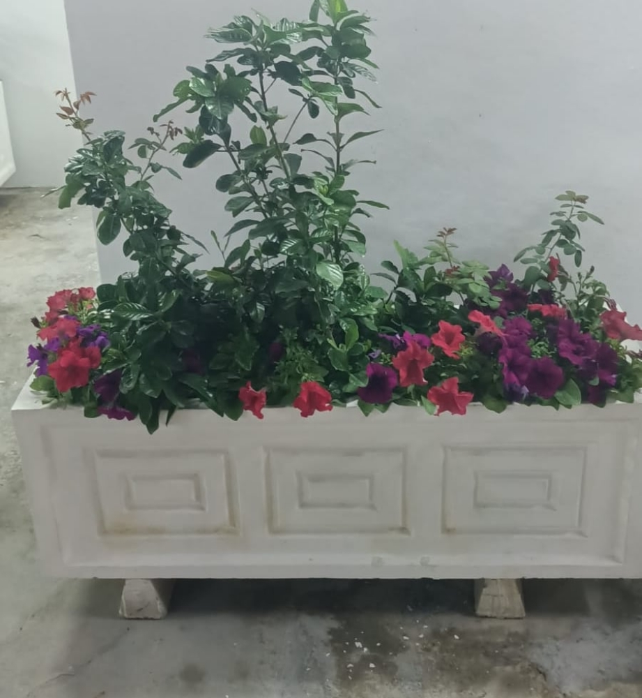 ابو سعيد - 3