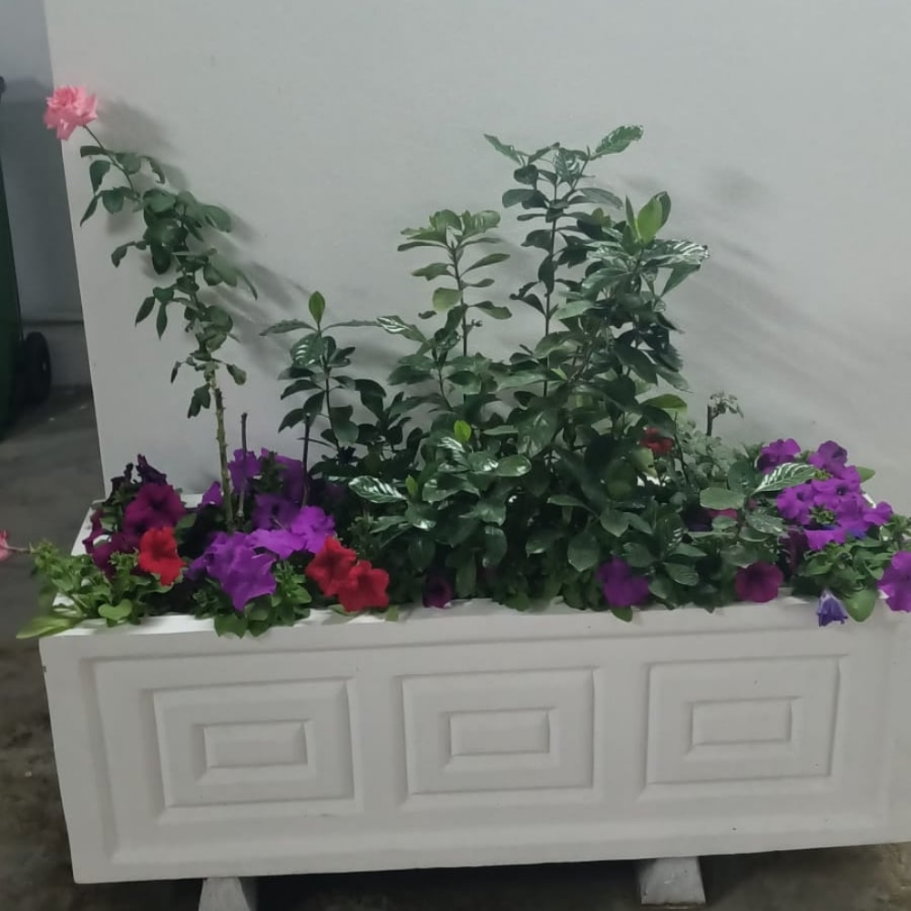 برنطيلات زراعه - 2