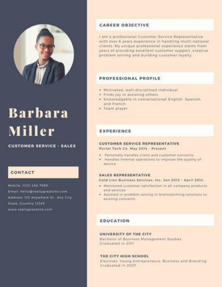 CV ( Professional CV) - 9
