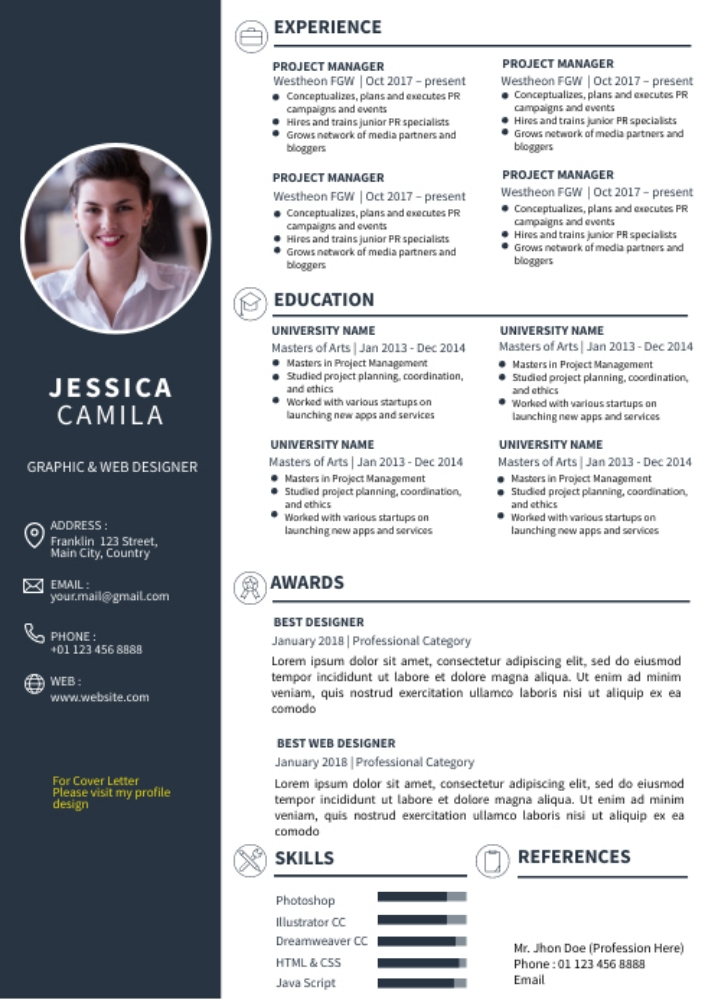 CV ( Professional CV) - 2