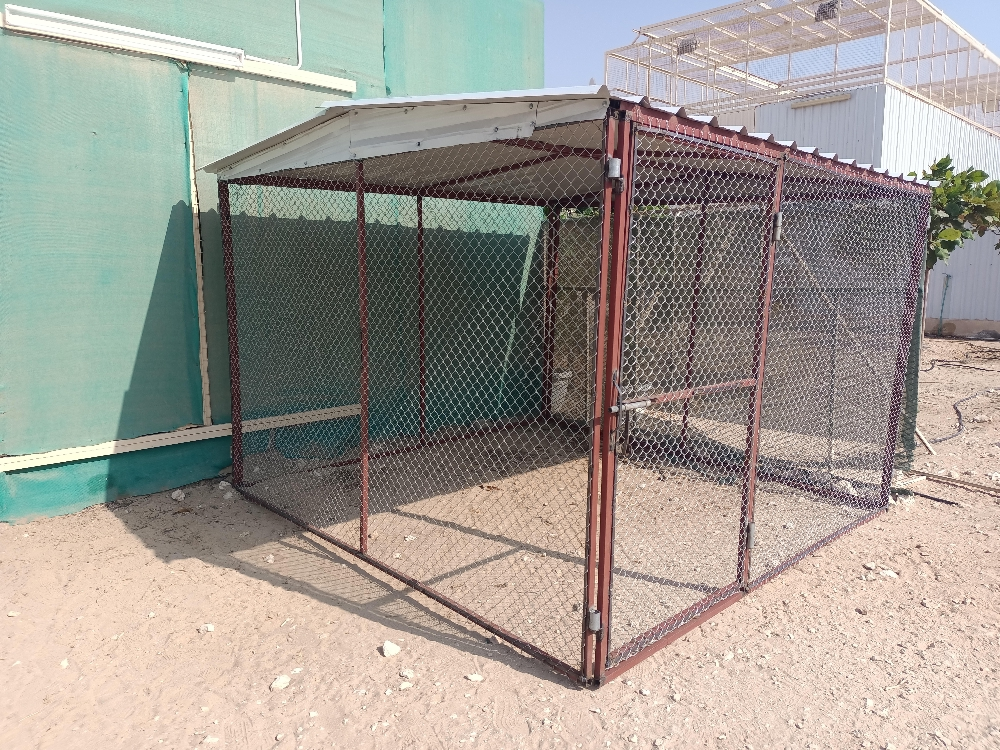 Pigeon cages and other things - 1