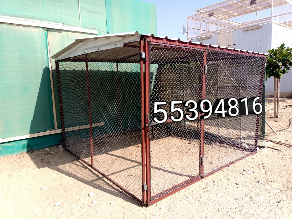 Pigeon cages and other things - 3