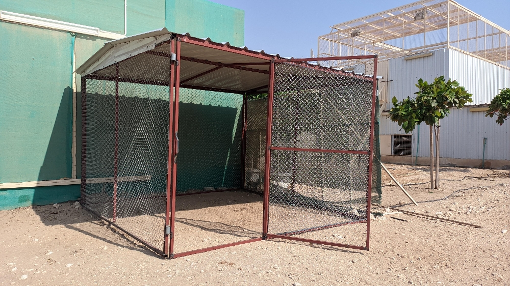 Pigeon cages and other things - 4