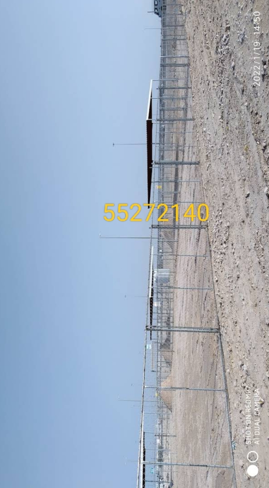 شبك الغنم - 2