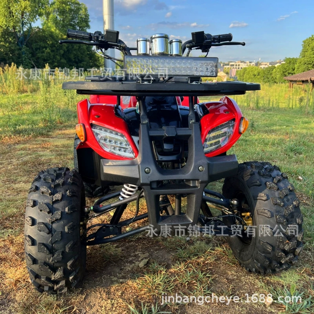 Petrol Buggy scooter car - 4