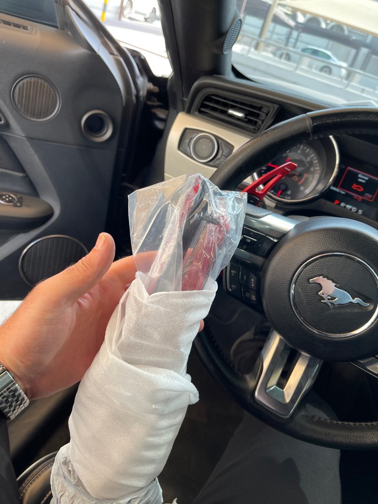 Mustang Reflectors 2018-2021 - 1