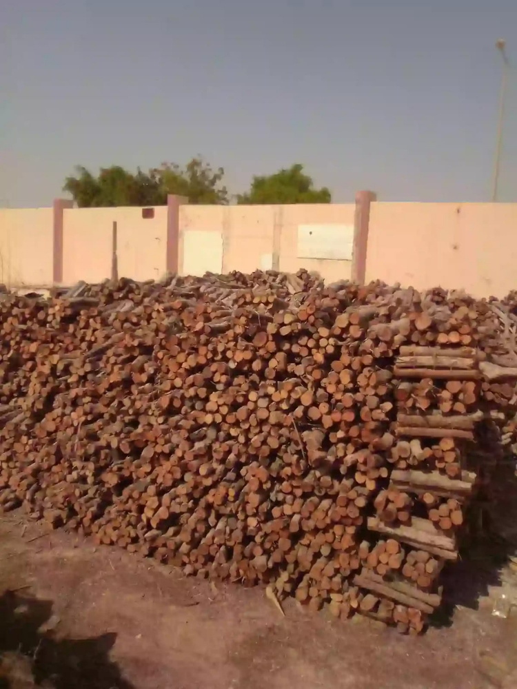 حطب للبيع مشكل سدر وقرض - 2