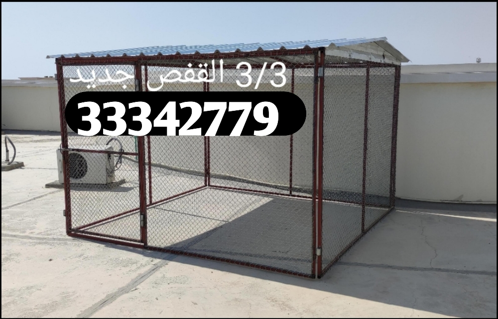 قن الدجاج - 2