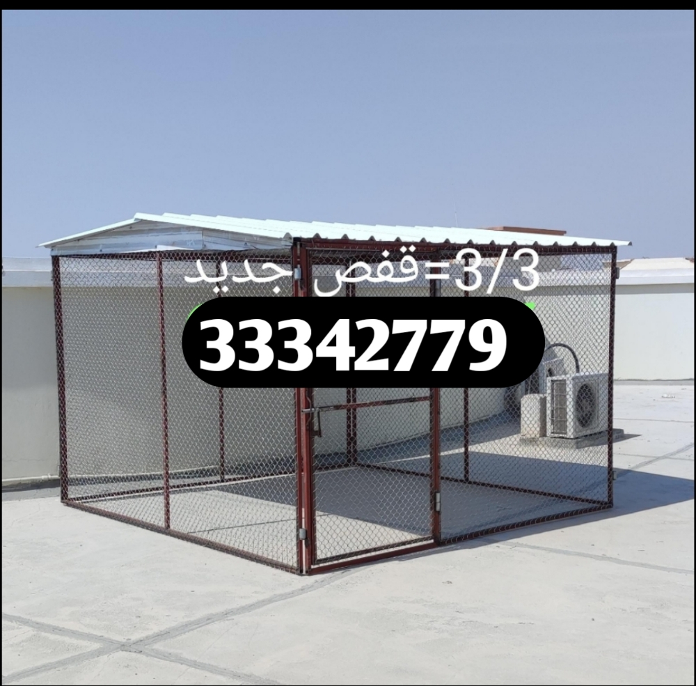 قن الدجاج - 1