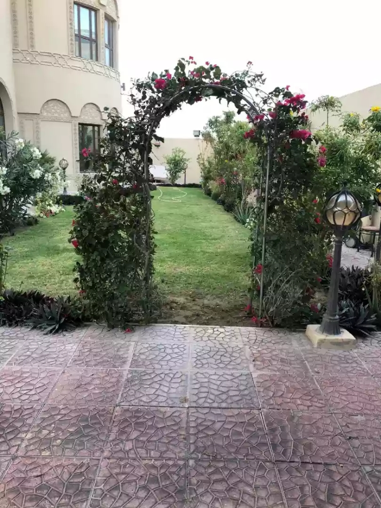 تنسيق الحدائق - 2