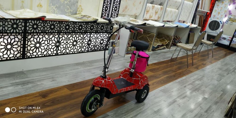 Electric Scooter  - 4