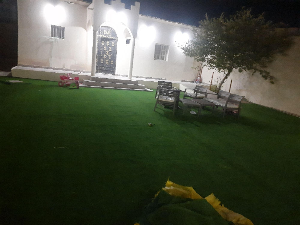 سجادة خضراء - 13